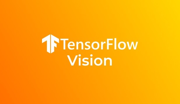 Tensor Flow Vision